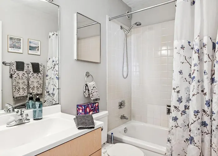 Appartement Mich Ave, Downtown, Grant Park 2bd-2ba #23 Chicago